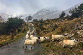 Back Roads Rural Private Tour around Killarney and the Reeks