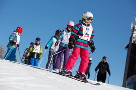 Vogel Ski Centre: Full Day Skidåkning med instruktör