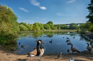 Reddish Vale Country Park