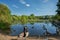 Photo of bird pond in the Reddish vale country park, Manchester, England.