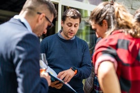 Degustação de Vinhos em Domodossola