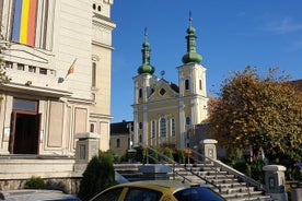 Visite à pied de 3 heures de Targu Mures