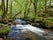 Golitha Falls National Nature Reserve, St. Neot, Cornwall, South West England, England, United Kingdom