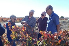 Private morgendliche Wein- und Weingutstour und Verkostung ab Valencia