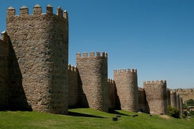 Excursion privée d'une journée à Avila au départ de Madrid avec un local