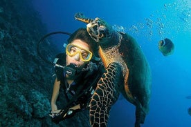 Plongée sous-marine pleine d'adrénaline à Antalya