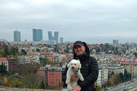 Het echte leven in Praag - Hondenwandeling van Vyšehrad naar Výtoň