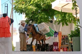 Tour privado de conducción de medio día en la isla de Paros