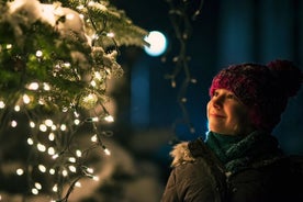 País das maravilhas do inverno de Genebra: um passeio festivo de Natal