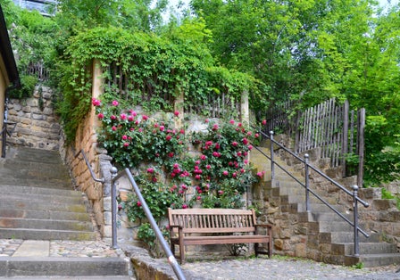 Photo of Historical Buildings in the Old Town of Rudolstadt Germany.