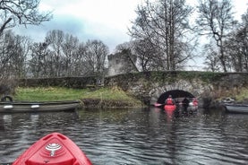 Kayak the Killarney lakes from Ross castle. Killarney. Guided. 2 hours.