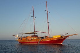 Croisière privée d'une demi-journée en voilier pour un maximum de 40 quêtes Panormitis