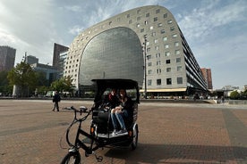 Tour privato in risciò/pedicab di Rotterdam