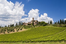 Brunello vínsmökkun frá San Gimignano