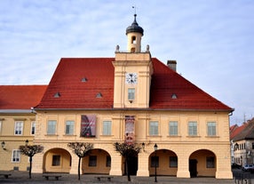 Museum of Slavonia