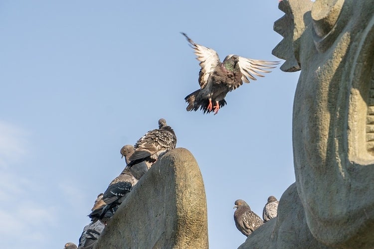 Photo of Klagenfurt Austria, by Roube OG-composition