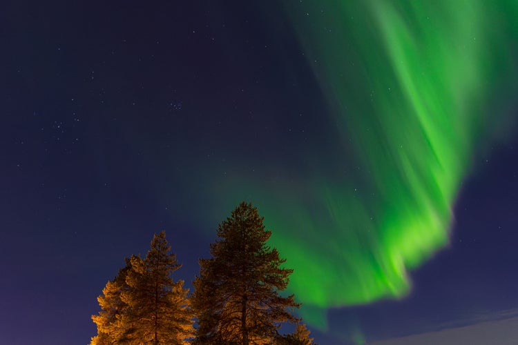 Photo of Aurora over trees in Kuusamo, Finland.