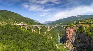 Đurđevića Tara Bridge