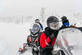 Rovaniemi: Vélsleðaferð, Hreindýra- og Sleðahundasleðaferð