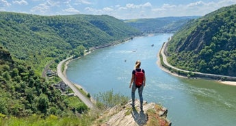 Rhine Walking: Mainz - Koblenz