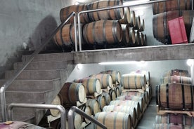 Experiencia de cata de vinos en la bodega orgánica en Šišan