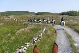 Ridning - Mountain Trail. Lisdoonvarna, Co Clare. Guidad. 2 timmar.