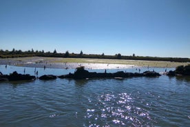Industry or Nature Boat Tour | Speedboat