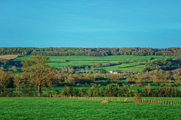 Panorama of Vezelay town and village in Avallon of Yonne department in Bourgogne Franche Comte region, France