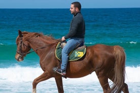 Reiten am Melides Beach