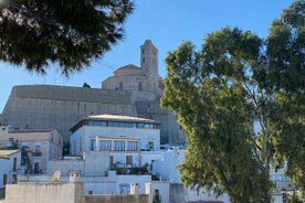 Geführte Besichtigung von Dalt Vila und Esparto Craft Workshop