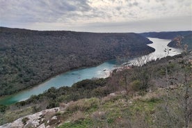 Einkarétt í Istria: Lim Bay og Dvigrad rústir myndaferð