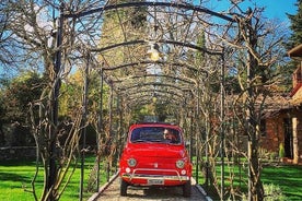 Tour privado Vintage Fiat 500 na Toscana