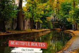 Our Utrecht City Tour (Limited group size & optional Lunch)