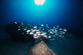 Begeleide snorkelervaring