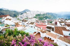 Evite as filas Viagem diurna a Nerja e Frijiliana saindo de Granada em um pequeno grupo