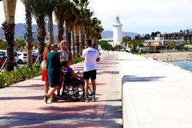  Highlights von Malaga mit dem Elektroauto und Abholung vom Hafen