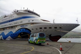 Excursion sur la côte de l'île de Terceira (journée de croisière)