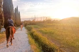 Ruta a caballo y aperitivo 2 horas para principiantes.