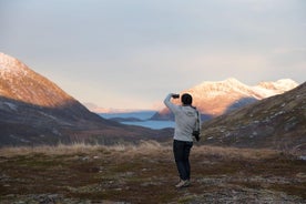 Arctic Fjords Road Trip