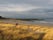 Yellowcraig Beach, East Lothian, Scotland, United Kingdom