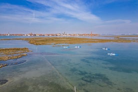 Naturalistisk kajakklasse i Venedig: grundlæggende træning i lagunen