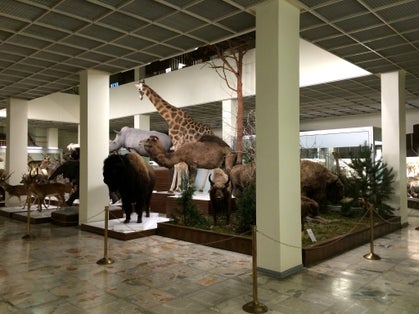 Kauno Tado Ivanausko zoologijos muziejus.