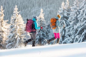 Half-Day Snowshoe Trip from Prague