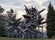 Monument to the Resistance, Cuneo, Piemont, Italy