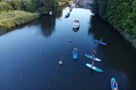 Esplorazione di mezza giornata in paddleboarding sul Dart