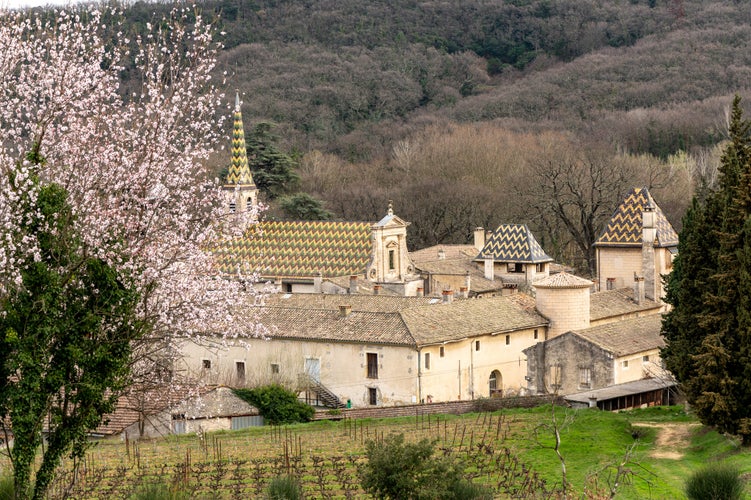 photo of view of Chartreuse de Valbonne in France.