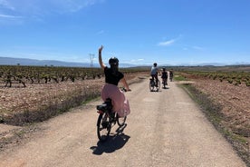 Rioja on Wheels - Découvrir la région de la Rioja avec des vélos électriques (depuis Bilbao et Rioja)