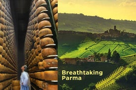 Tour privato di degustazione di vino e degustazione di parmigiano a Parma