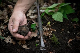 Descubrimiento del mundo de las trufas y degustación.