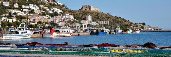 Vista Roses Mar Vent De Mar